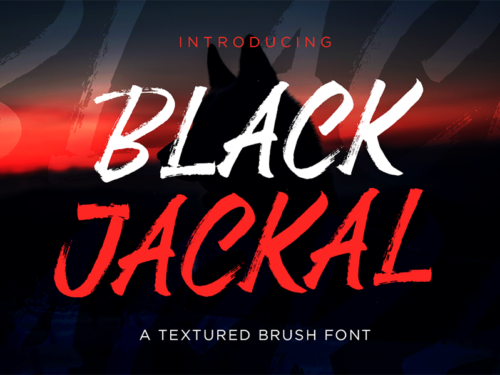 Black Jackal Brush