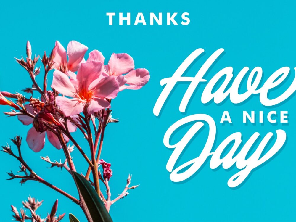 Chillout Handlettering Script