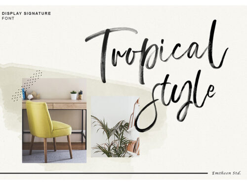 Display Signature Brush Font