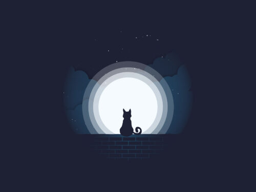 Moon Cat Vector
