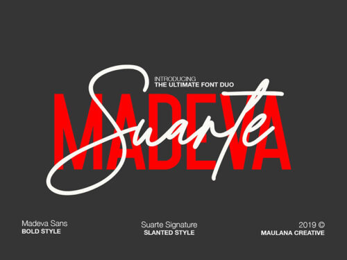 Suarte Signature Font Demo
