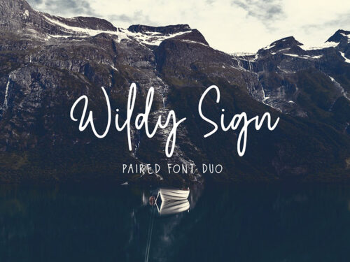 Wildy Sign Signature Font