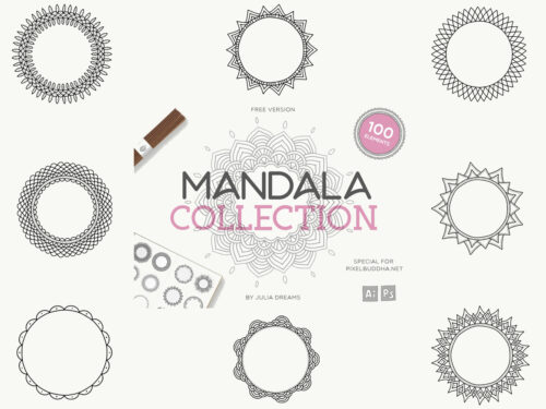 100 Mandala Vector Illustrations