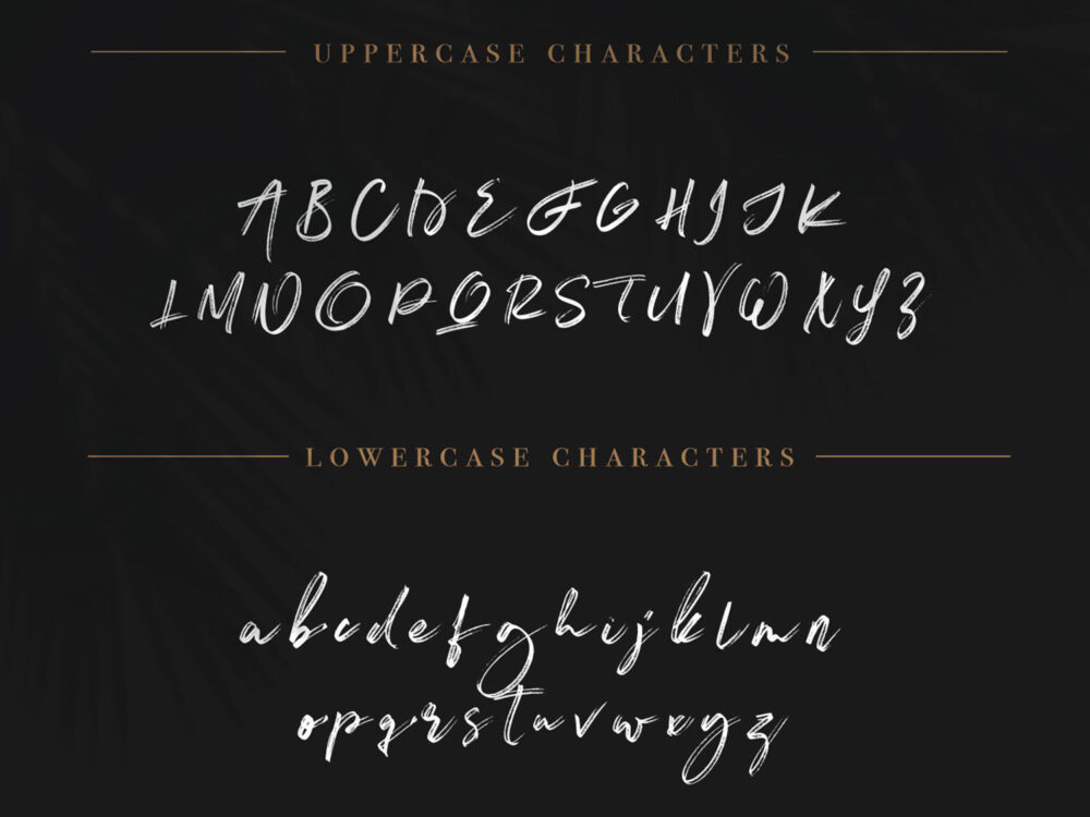 Free Ashfort Brush Font
