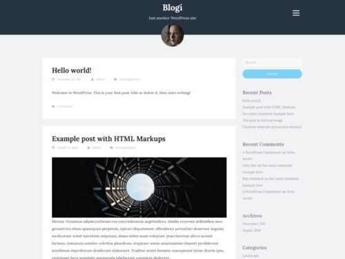 Blogi - Free WordPress Blog Theme