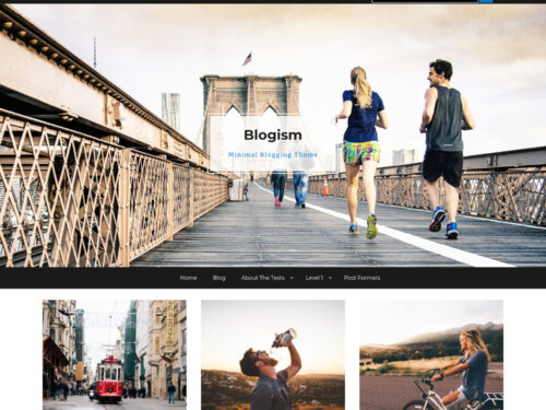 Blogism Blog WordPress Theme