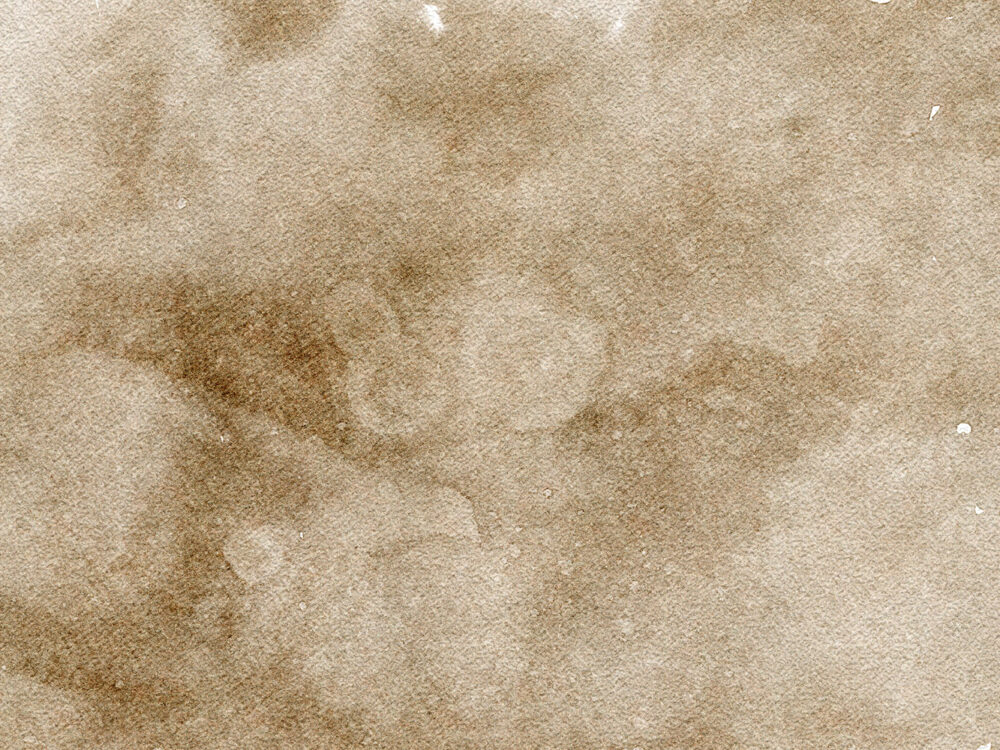 Coffee Paper Textures