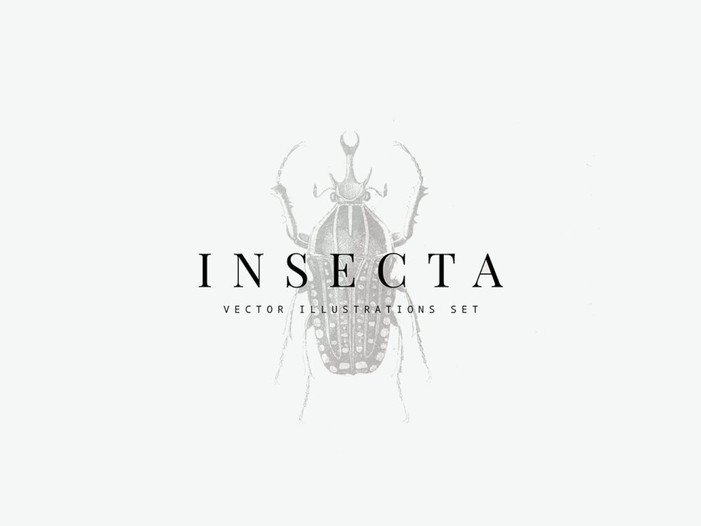 Insecta Vector Illustrations Set