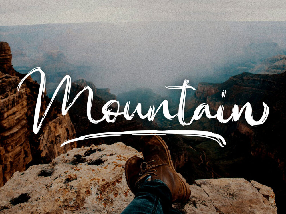 Sacreditty Script Free Demo