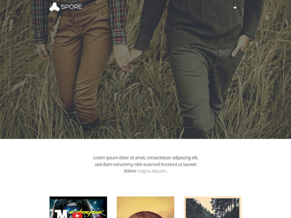 Spore – Free HTML5 Masonry Blog Template