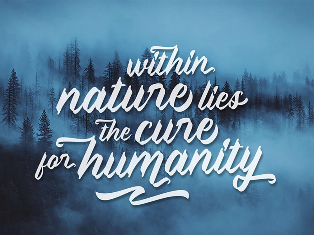 Sweet Pancake Script Demo