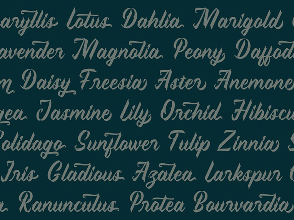 Sweet Pancake Script Demo