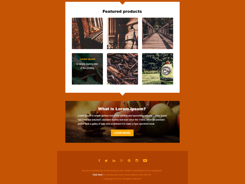 Thanksgiving Email Template