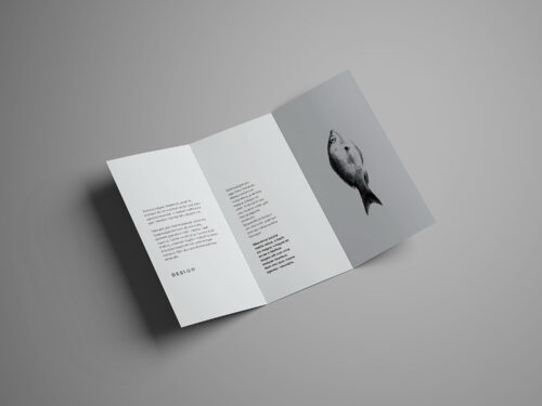 Trifold Brochure Mockup Free (7 Angles)