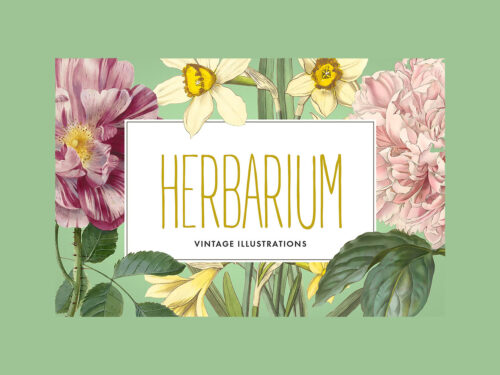 Vintage Herbarium Illustrations