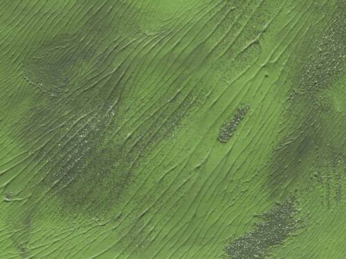 10 Free Handpainted Acrylic Textures