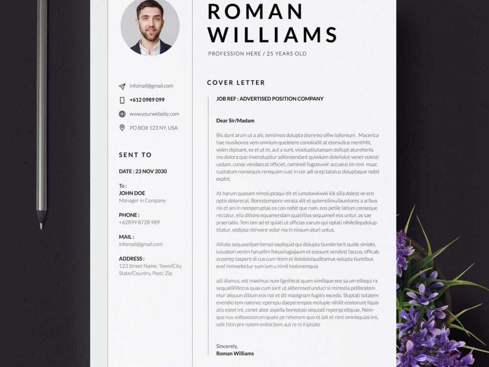 3 Page Resume Template