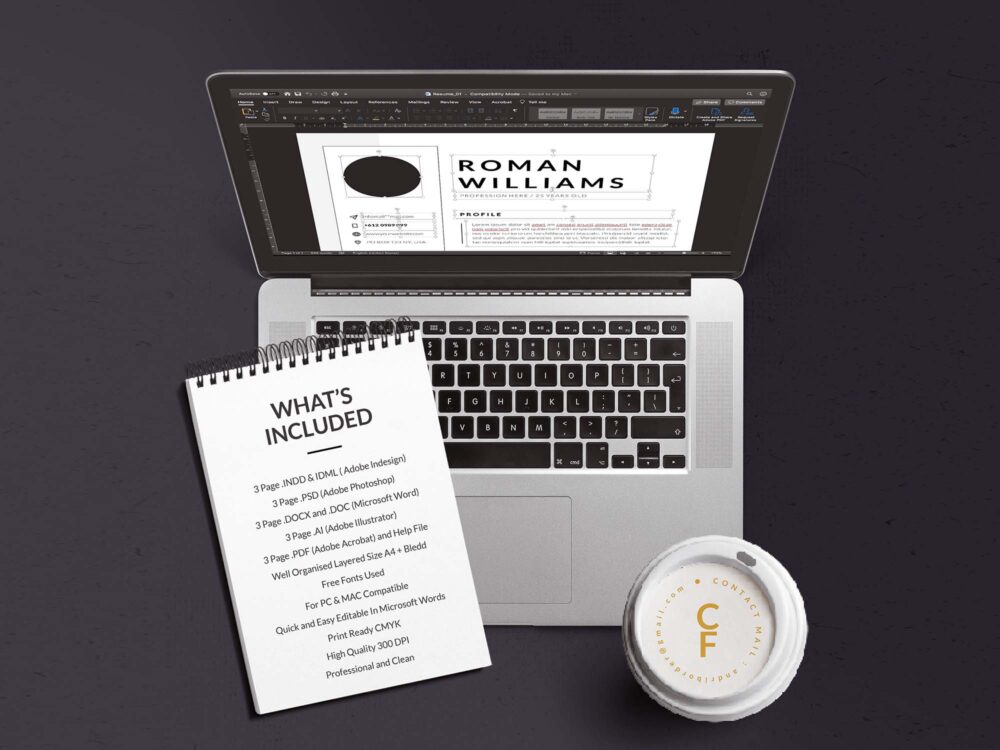 3 Page Resume Template