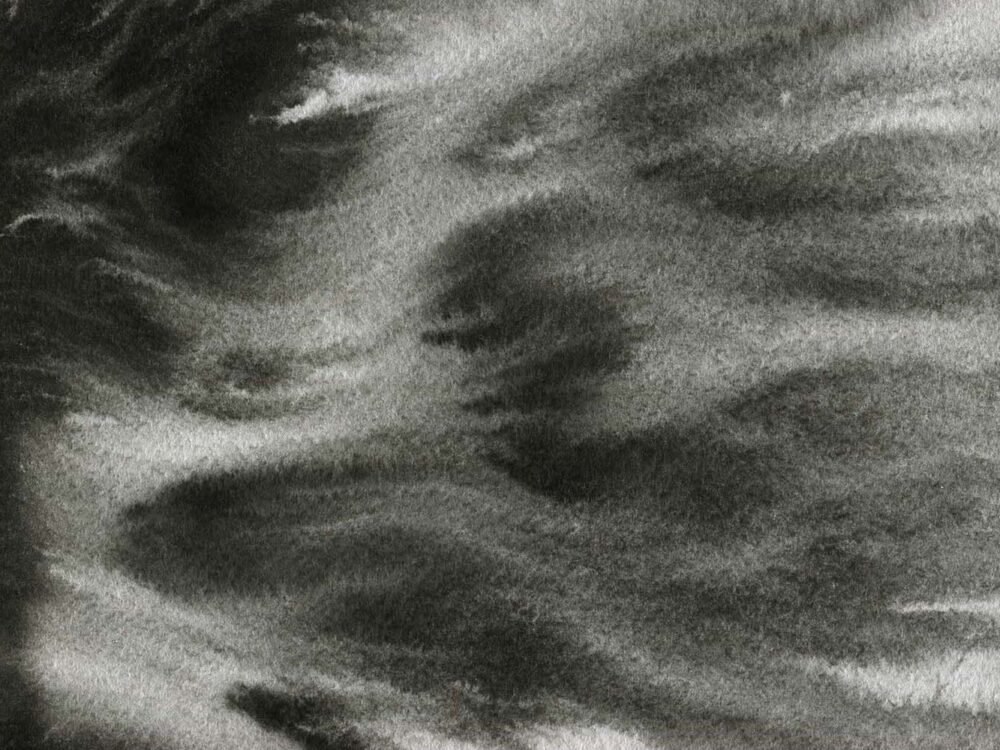 5 Free Abstract Black Ink Textures