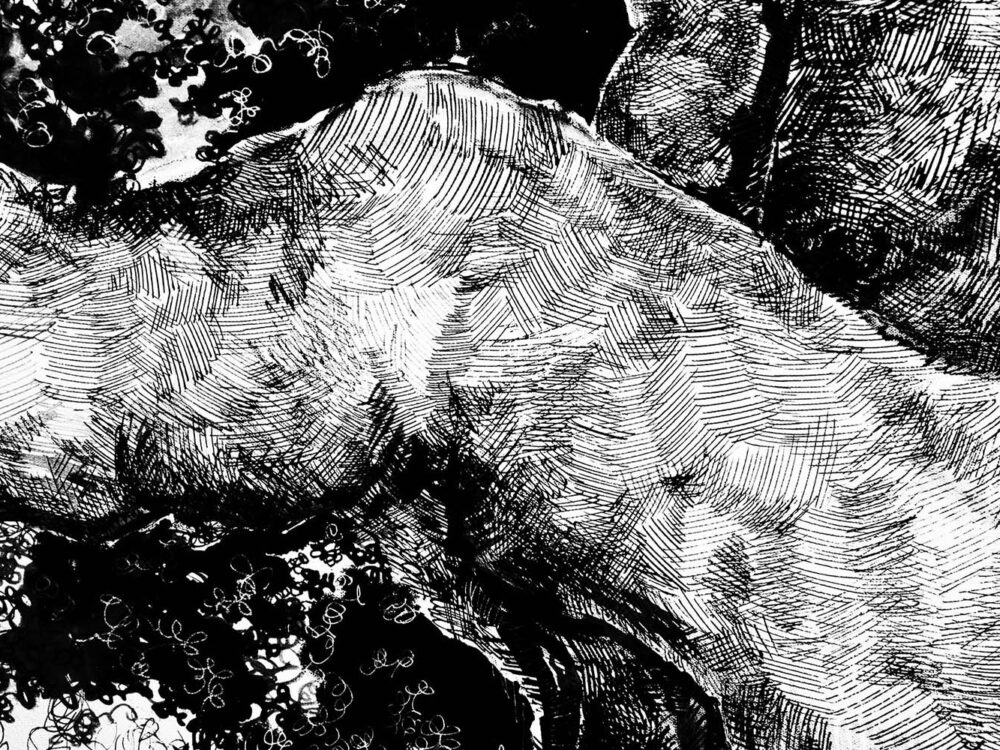 6 Free Abstract Vector Textures