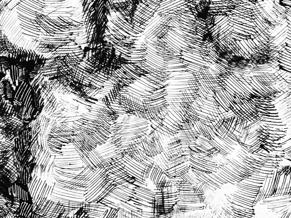 6 Free Abstract Vector Textures