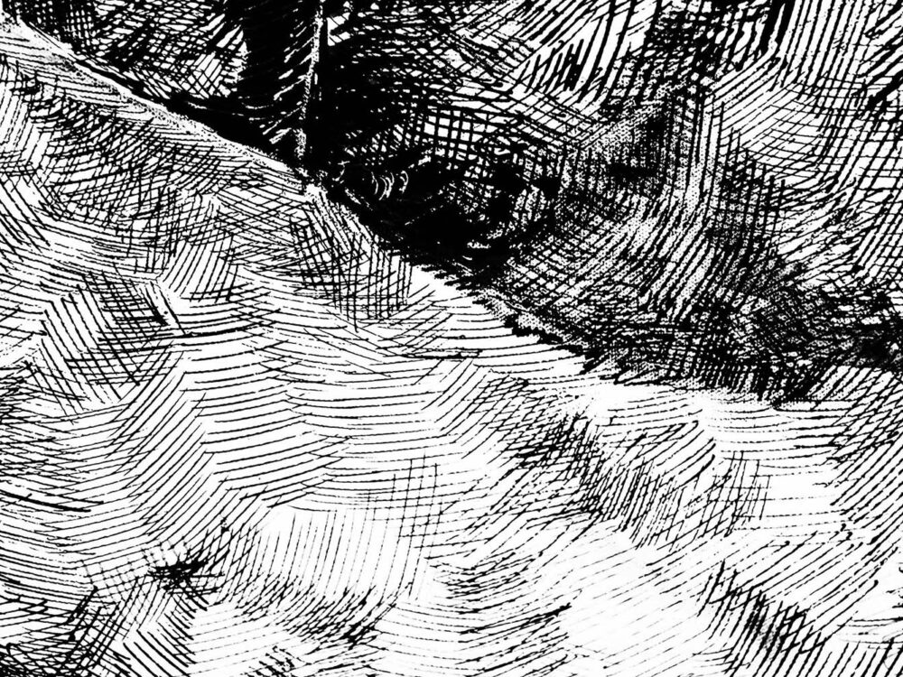 6 Free Abstract Vector Textures