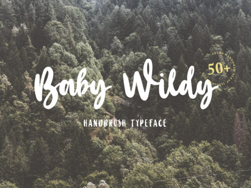 Baby Wildy Handbrush Font