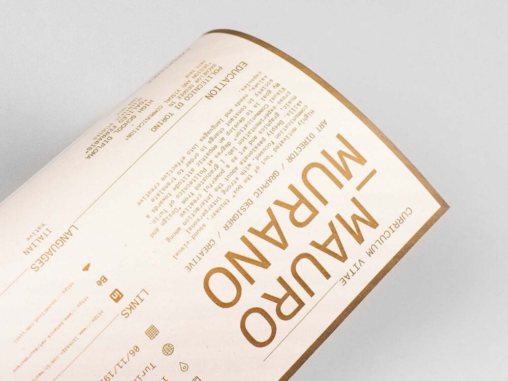 Free Curriculum Vitae Resume Template