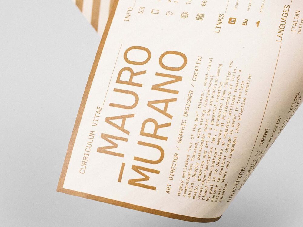 Free Curriculum Vitae Resume Template