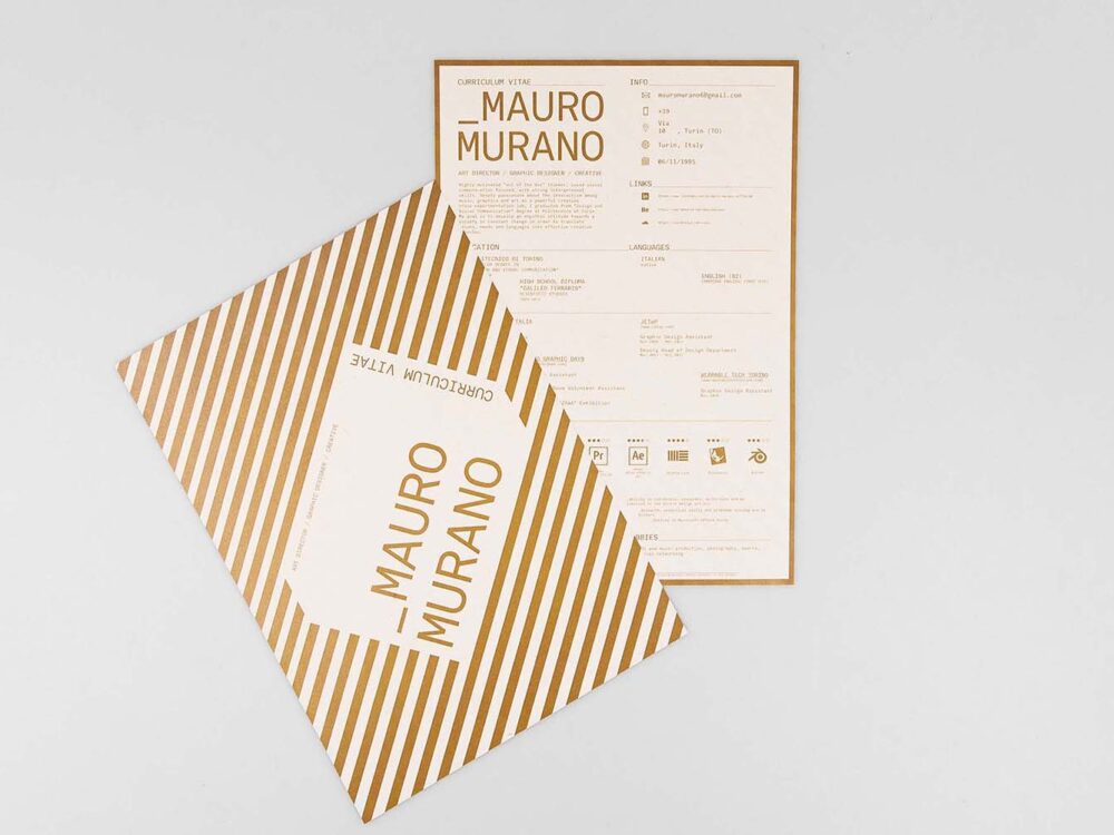 Free Curriculum Vitae Resume Template