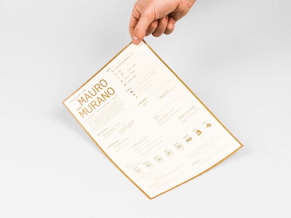 Free Curriculum Vitae Resume Template