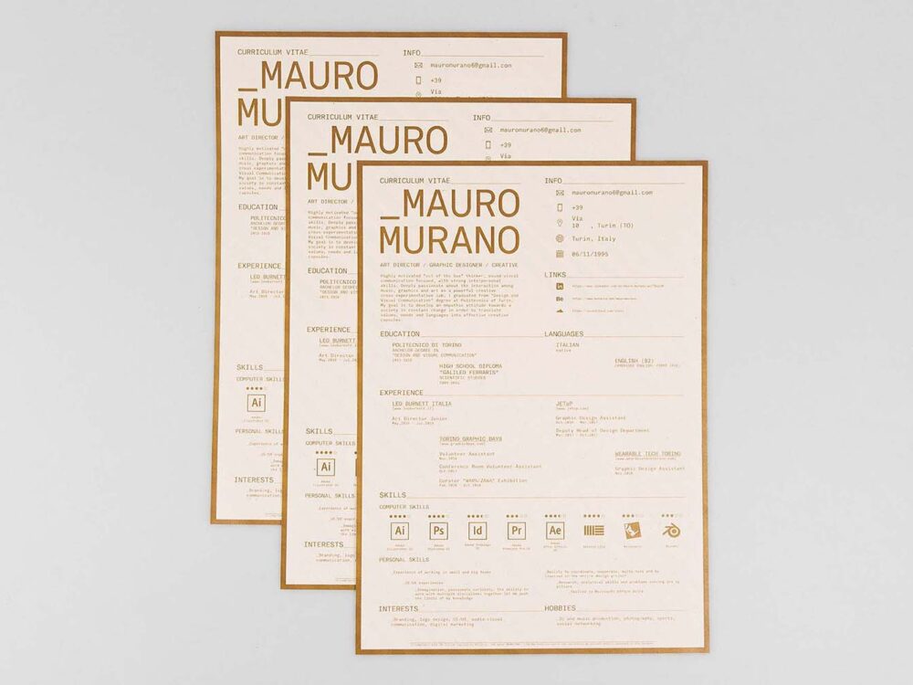 Free Curriculum Vitae Resume Template