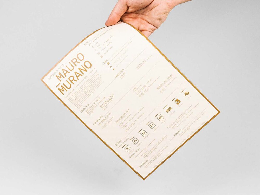 Free Curriculum Vitae Resume Template