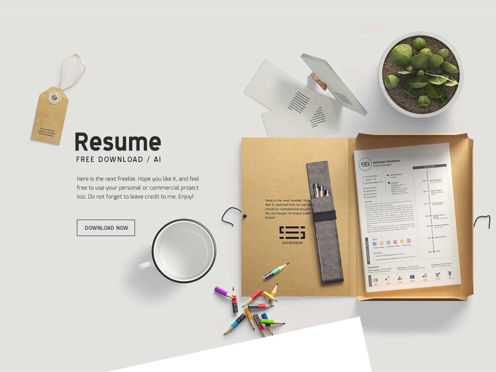 Free Editable Resume Template