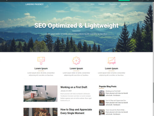Landing Pagency WordPress Theme