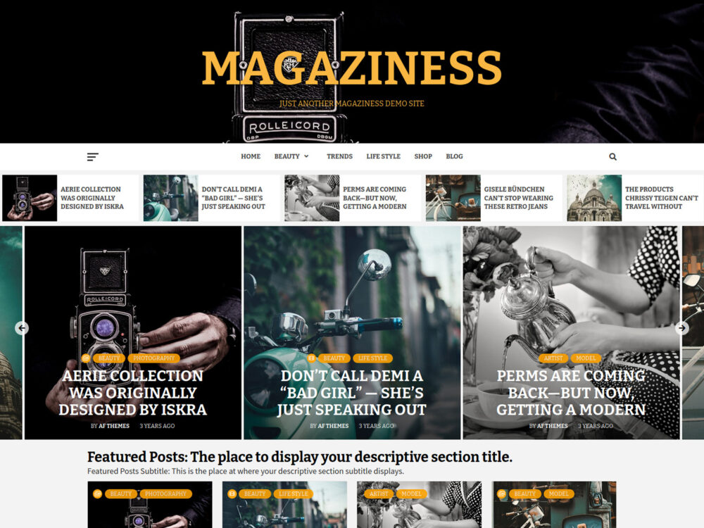 Magaziness WordPress Theme