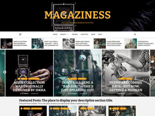 Magaziness WordPress Theme