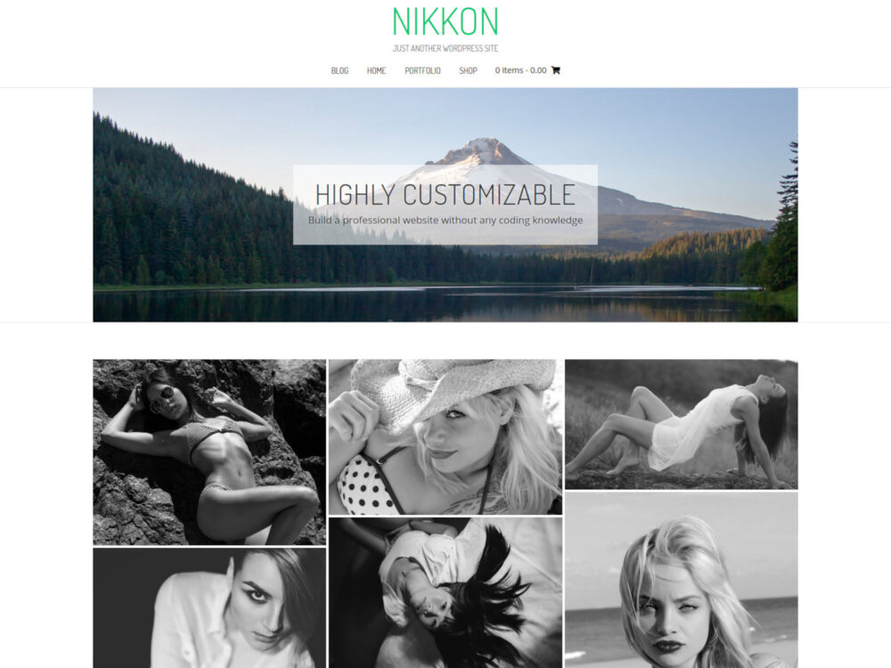 Nikkon WordPress Theme