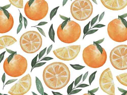 Orange Fruit Watercolor Clipart Patterns