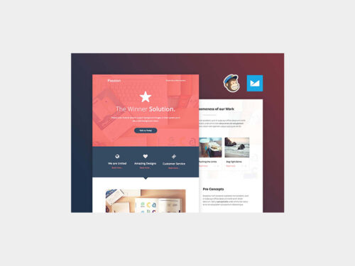 Passion Free Email Template