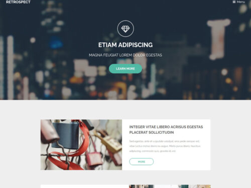 Retrospect HTML Template