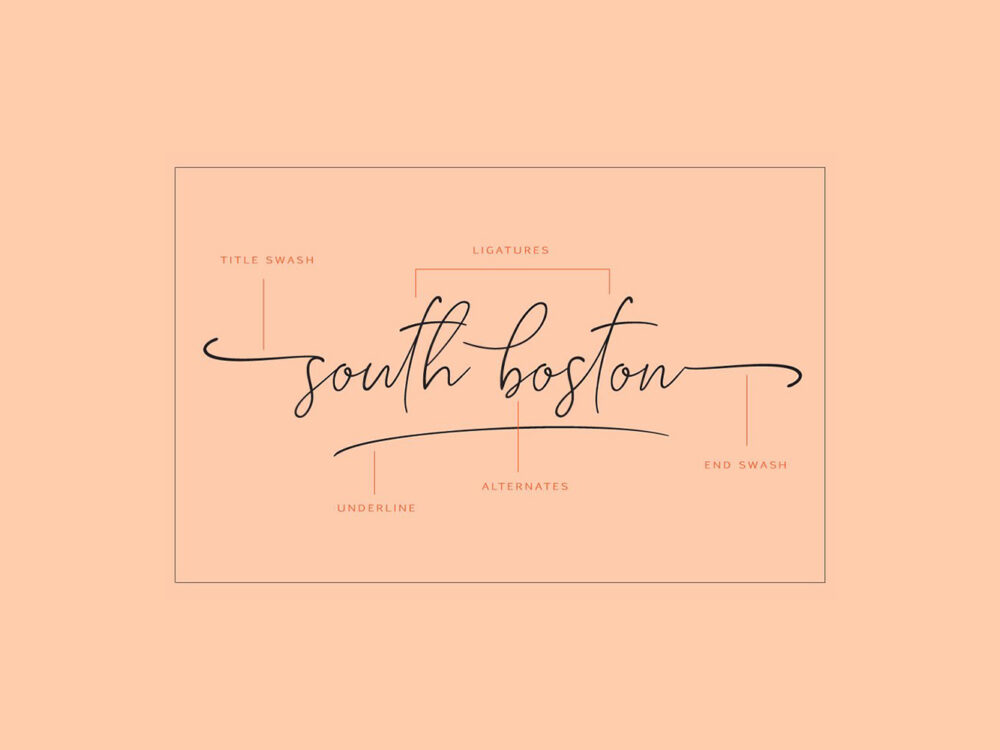 South Boston Script Free Demo