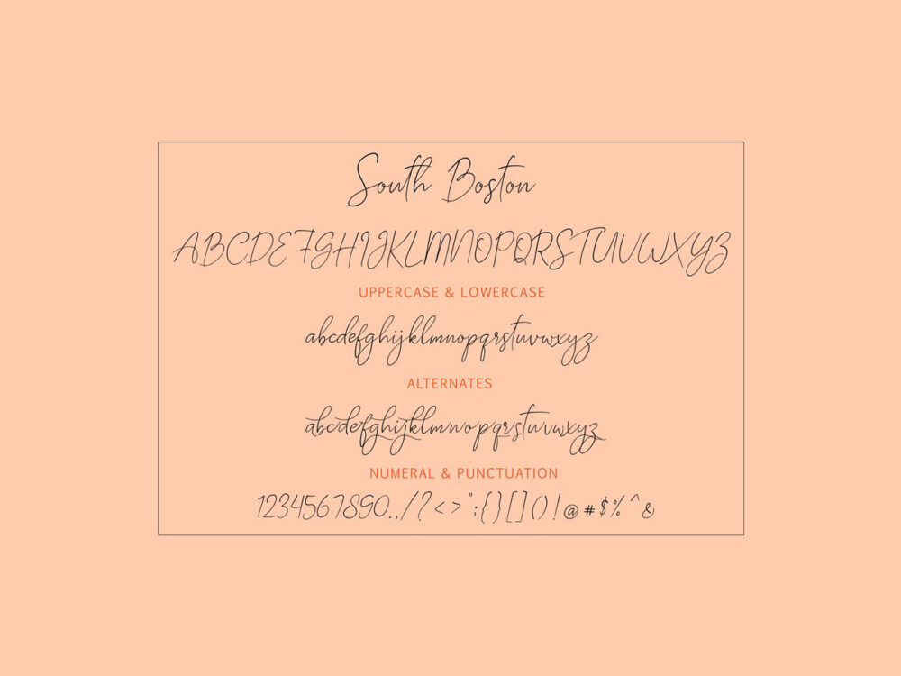 South Boston Script Free Demo