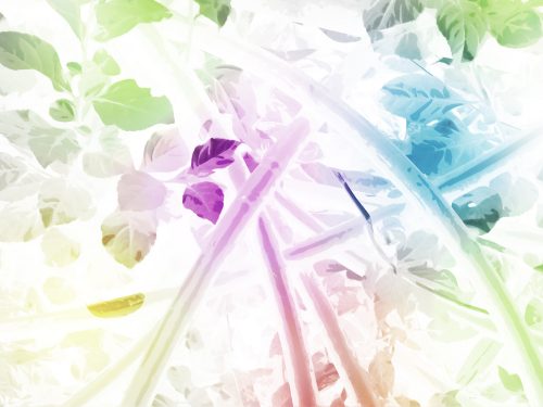 Abstract Watercolor Painting Background