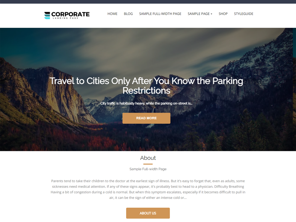 Corporate Landing Page