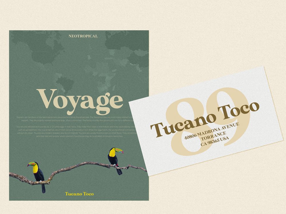 MADE Sunflower Serif Font