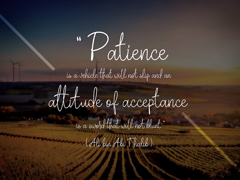 Villaga Stylish Signature Font