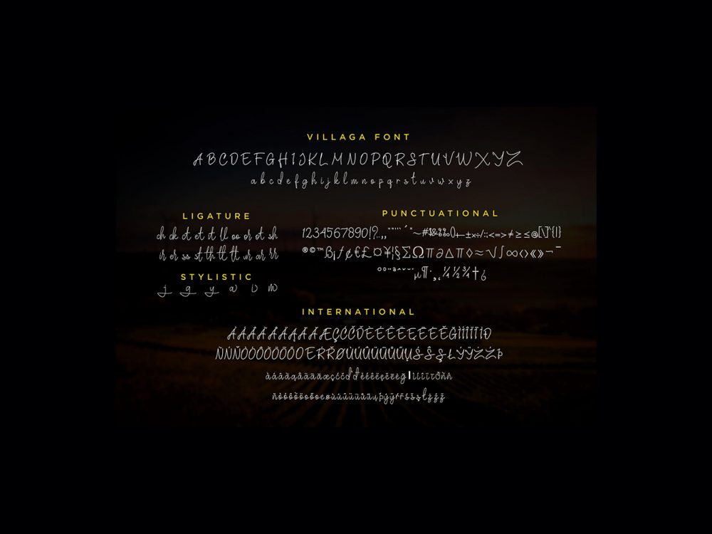 Villaga Stylish Signature Font
