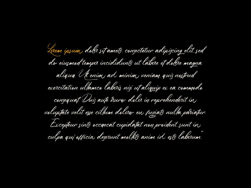 Winsberg Handlettering Script