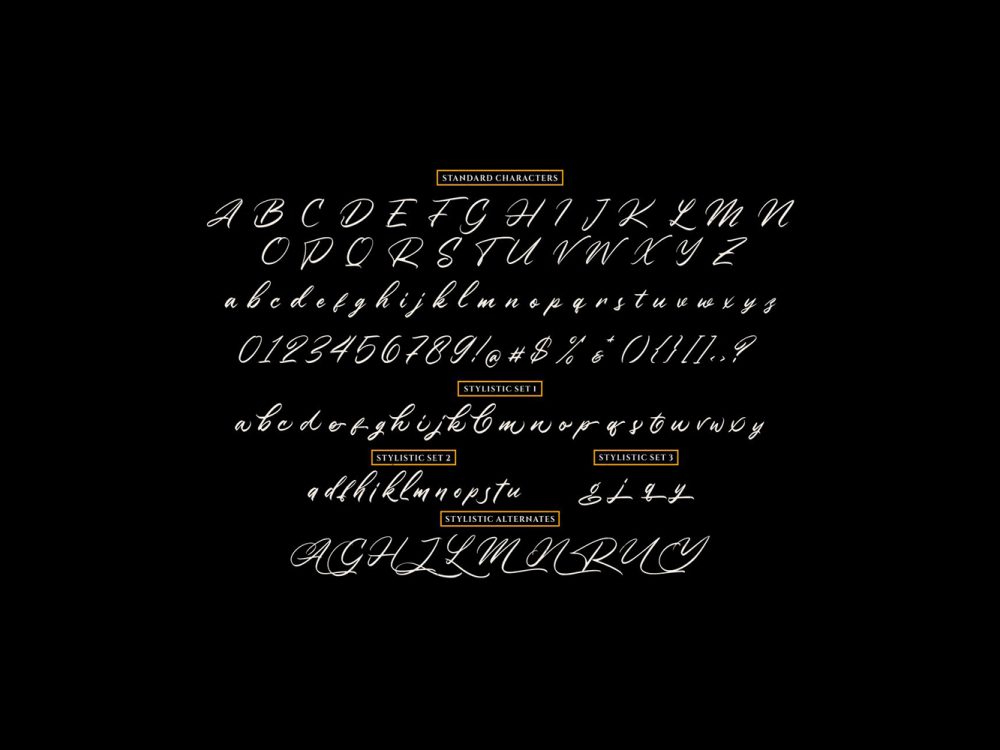 Winsberg Handlettering Script